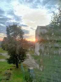 Trees on field at sunset