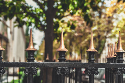 Close-up of metal fence against trees