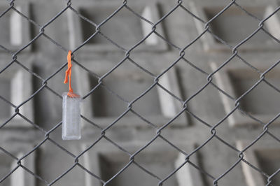 Close-up of chainlink fence