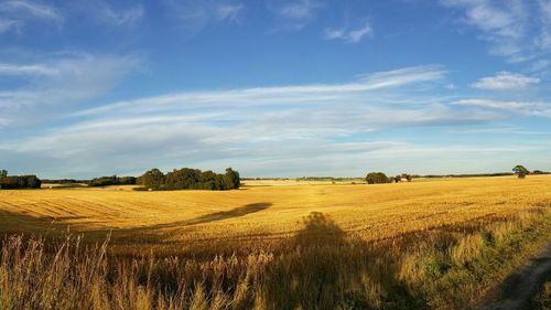 Scenic view of field against cloudy sky