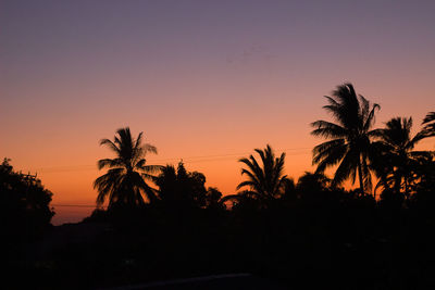 Silhouette palm trees against sky during sunset