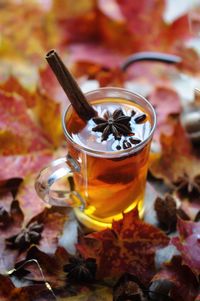 Warming tea autumn colors