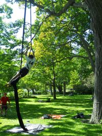 Trees in park