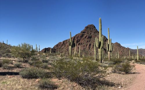 Built structure on landscape against clear blue sky