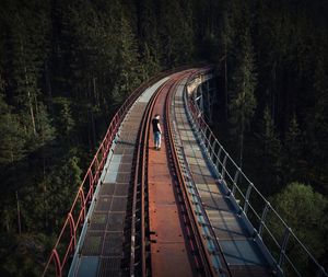 High angle view of railroad tracks amidst trees