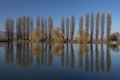 Reflection of trees in lake against sky