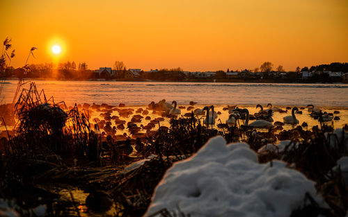 Scenic view of sea against orange sky