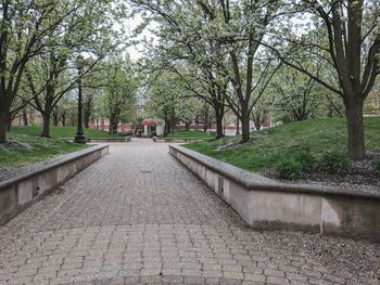 Footpath in park