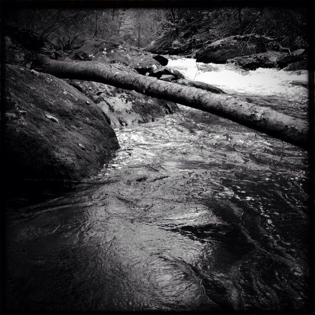 transfer print, auto post production filter, water, nature, stream, tranquility, river, tranquil scene, beauty in nature, high angle view, forest, rock - object, day, outdoors, flowing water, scenics, no people, tree, non-urban scene, non urban scene