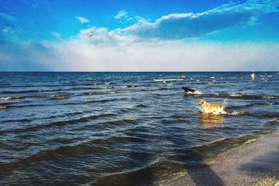 Scenic view of sea against cloudy sky