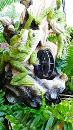 Close-up of parrot perching on statue