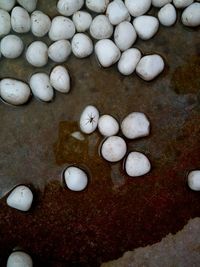 High angle view of ball balls on beach