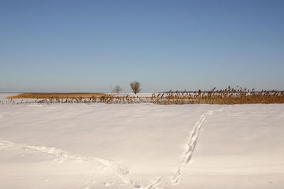 Scenic view of snowy field against clear sky