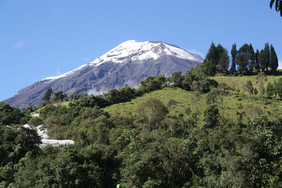 mountain