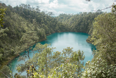 Scenic view of lake in forest against sky