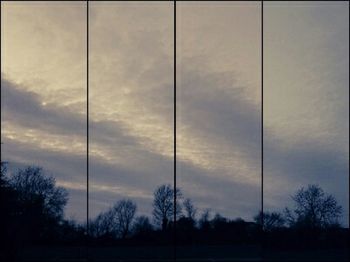 Bare trees against cloudy sky