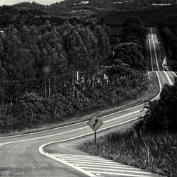 Road amidst trees