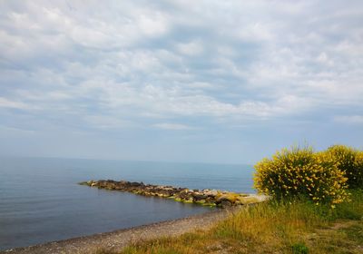 Scenic view of sea against sky