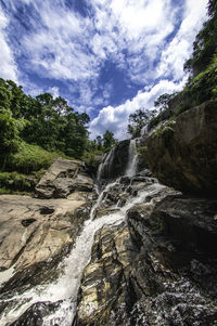 Scenic view of trees against sky