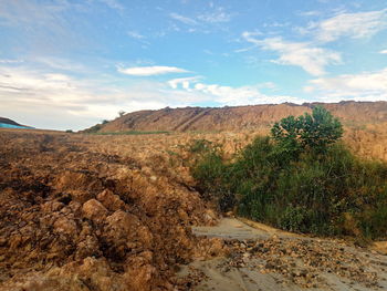 Scenic view of landscape against sky