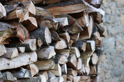 Stack of logs