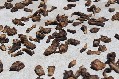 Dried mango fryums or currant .mango are drying in the direct sunlight in the morning to make fryums