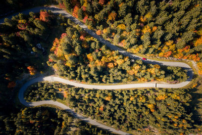 High angle view of road amidst trees during autumn