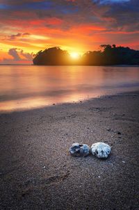Scenic view of sea during sunset