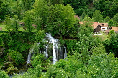 Scenic view of waterfall in forest