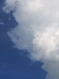 Low angle view of airplane flying in sky