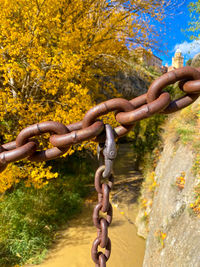 Close-up of rusty chain against trees
