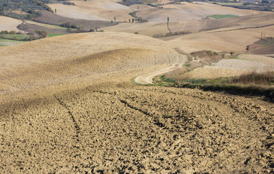 High angle view of agricultural field