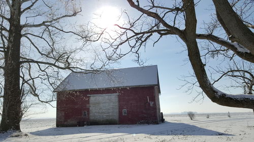 Bare trees and buildings against sky