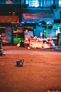 Surface level view of toy car on street