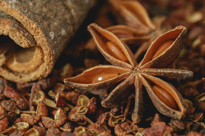 Close-up of bread