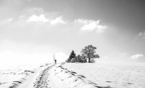 Trees on snow covered field against sky