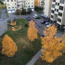 Buildings in city