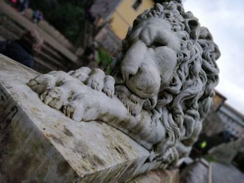 Close-up of statue