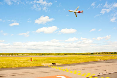 Airplane flying over field against sky