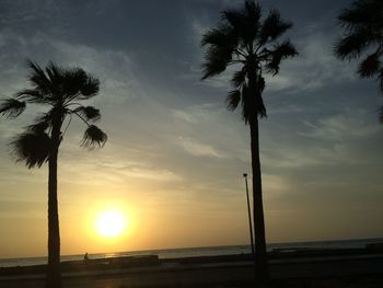 Silhouette palm trees on beach against sky during sunset