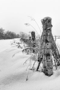 Bare trees on snow covered field against sky