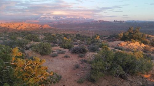 Scenic view of landscape against sky