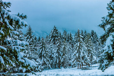 Snow-covered winter landscape in the alps, germany.