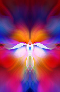 Full frame shot of multi colored light