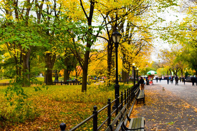 People walking on footpath in park