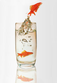 Close-up of glass against white background