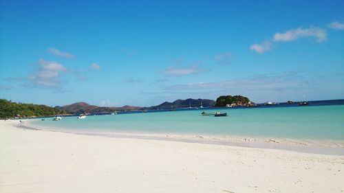 Scenic view of beach