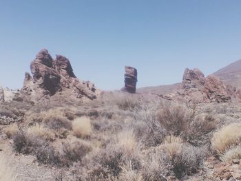 Scenic view of landscape against clear sky