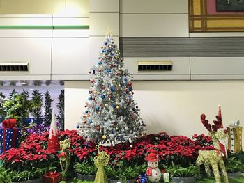 View of christmas tree