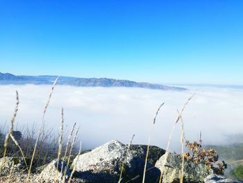 Scenic view of mountains against clear blue sky